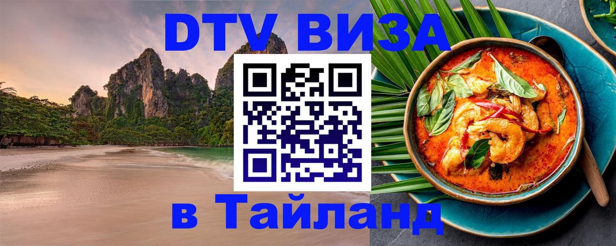 Оформление DTV визы под ключ: стоимость и тарифы, только загранпаспорт - Кишинёв  05.10.2025 